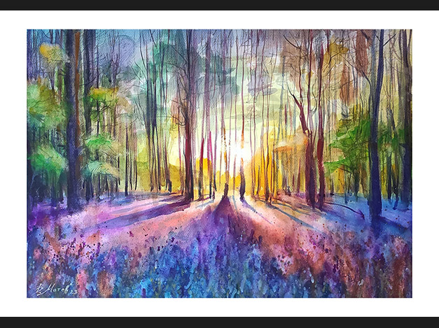 Sunrise and Shadows